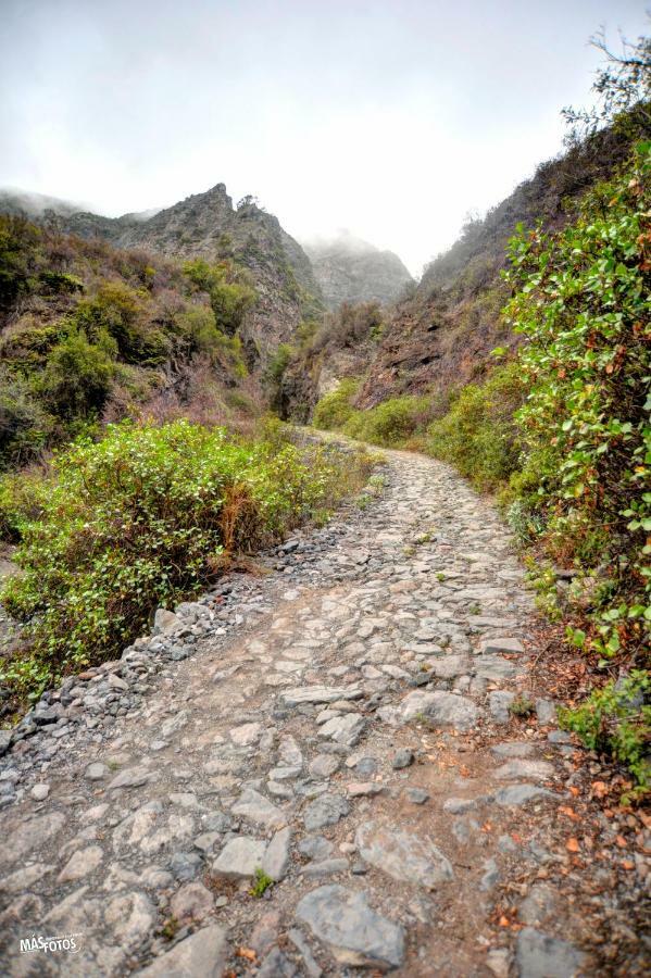 Naturaleza Viva El Socorro 외부 사진