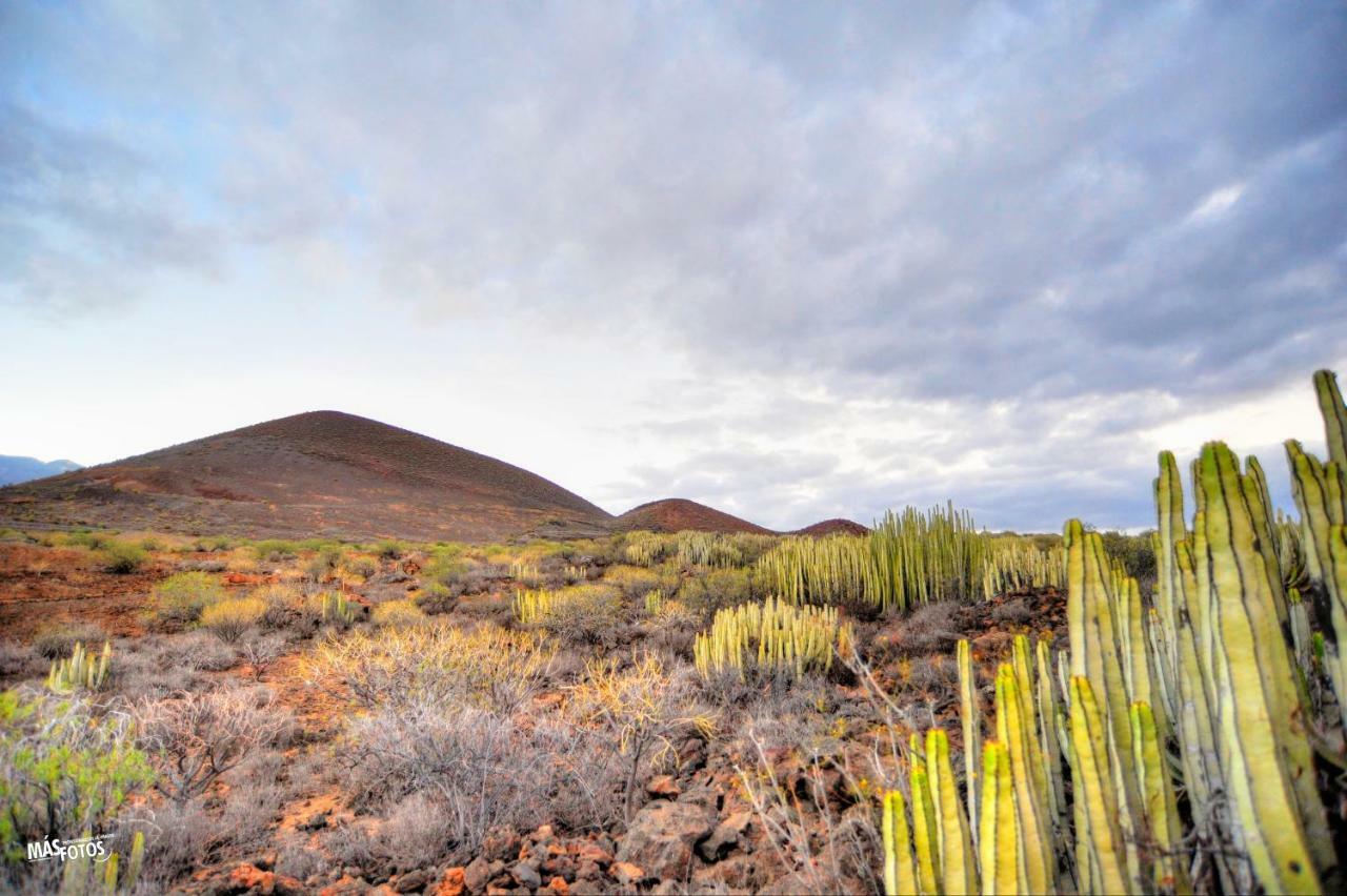 Naturaleza Viva El Socorro 외부 사진