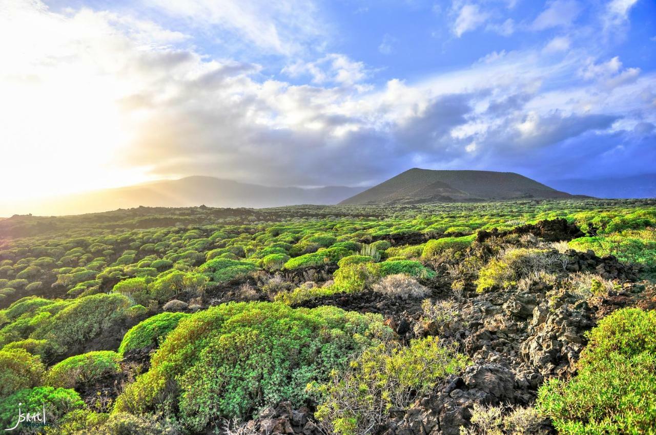 Naturaleza Viva El Socorro 외부 사진